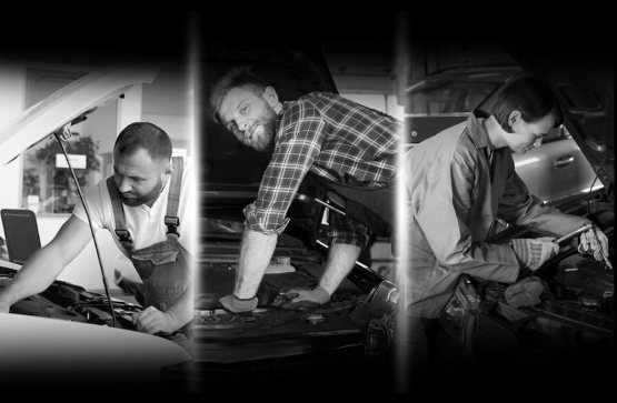 Why choose All German Motors